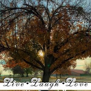 Meet your Posher, Melody